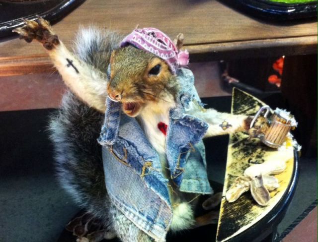 daily picdump 93 pics 10.html - 93 HD Photos | Premium Gallery 2015