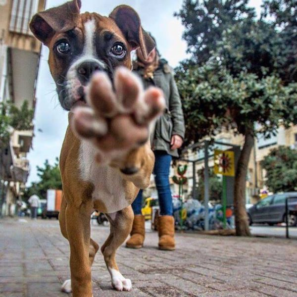 morning picdump 51 pics 10.html - 51 HD Photos | Premium Gallery 2015