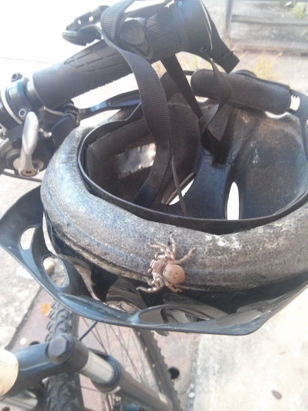 morning picdump 51 pics 10.html - 51 HD Photos | Premium Gallery 2015