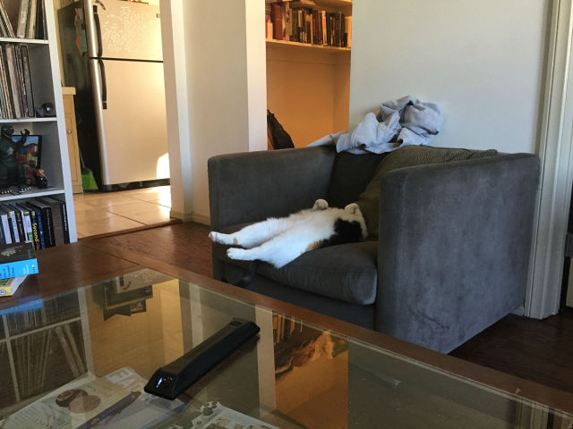 morning picdump 51 pics 10.html - 51 HD Photos | Premium Gallery 2015