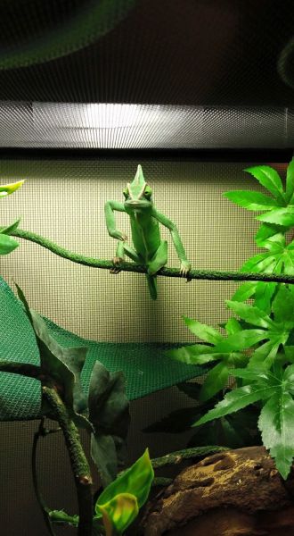 morning picdump 52 pics 21.html - 52 HD Photos | Premium Gallery 2015