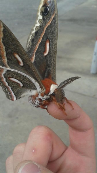 morning picdump 52 pics 21.html - 52 HD Photos | Premium Gallery 2015