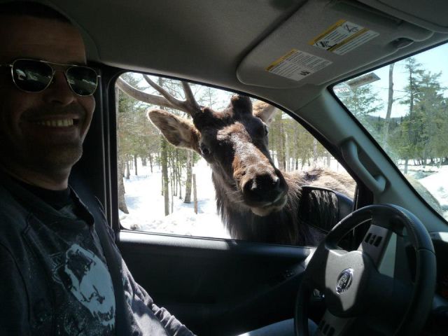 morning picdump 52 pics 21.html - 52 HD Photos | Premium Gallery 2015