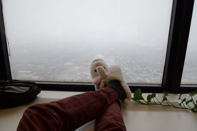 daily picdump 93 pics 1.html - 93 HD Photos | Premium Gallery 2015