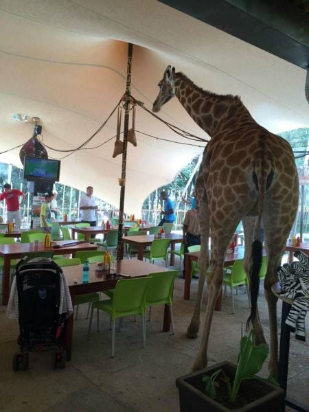 daily picdump 93 pics 1.html - 93 HD Photos | Premium Gallery 2015