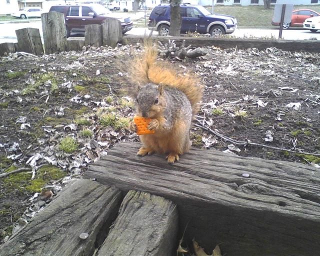 daily picdump 93 pics 1.html - 93 HD Photos | Premium Gallery 2015