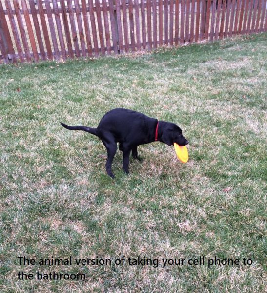 daily picdump 93 pics 1.html - 93 HD Photos | Premium Gallery 2015