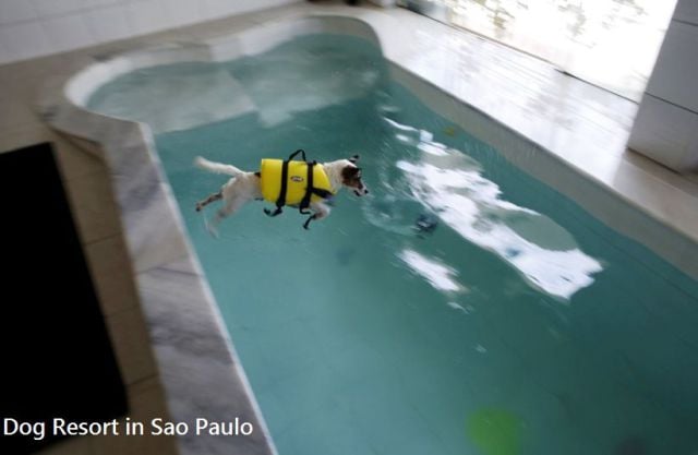 daily picdump 93 pics 1.html - 93 HD Photos | Premium Gallery 2015