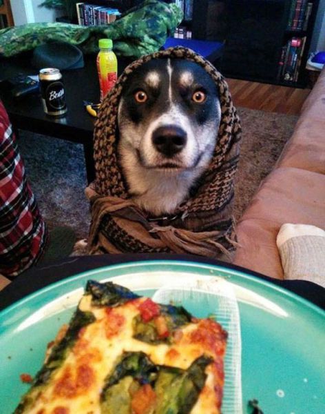 daily picdump 93 pics 1.html - 93 HD Photos | Premium Gallery 2015