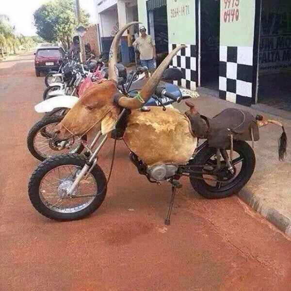 daily picdump 93 pics 1.html - 93 HD Photos | Premium Gallery 2015