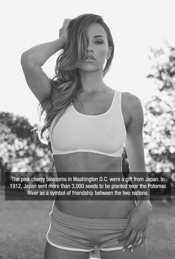 Facts are Best Served with Hot Girls