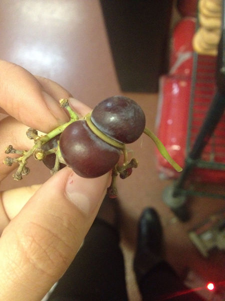 morning picdump 54 pics 6.html - 54 HD Photos | Premium Gallery 2015