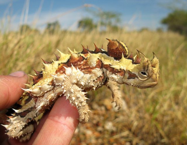 morning picdump 54 pics 6.html - 54 HD Photos | Premium Gallery 2015