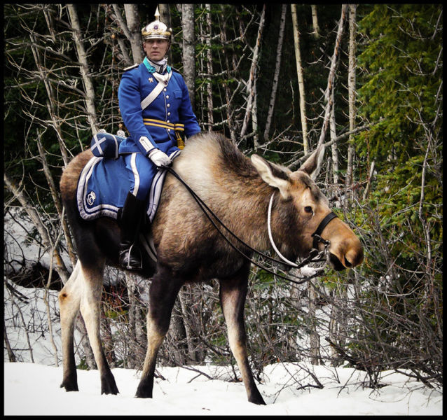 morning picdump 54 pics 6.html - 54 HD Photos | Premium Gallery 2015