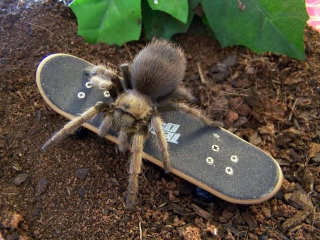 morning picdump 54 pics 6.html - 54 HD Photos | Premium Gallery 2015