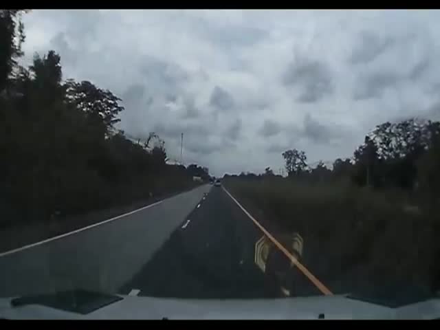 page,26,top 500 videos of the year 2015.html - 1 HD Video | Premium Gallery 2015