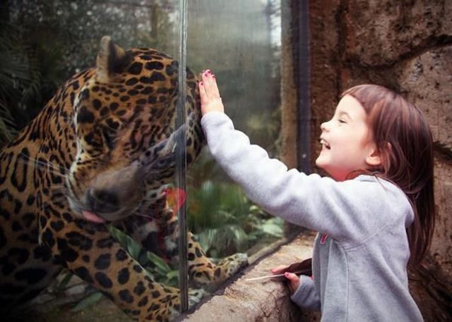 page,47,top 1500 daily pics of the year 2015.html - 1 HD Photos | Premium Gallery 2015