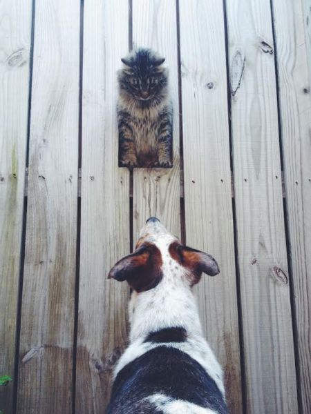 morning picdump 52 pics 14.html - 52 HD Photos | Premium Gallery 2015