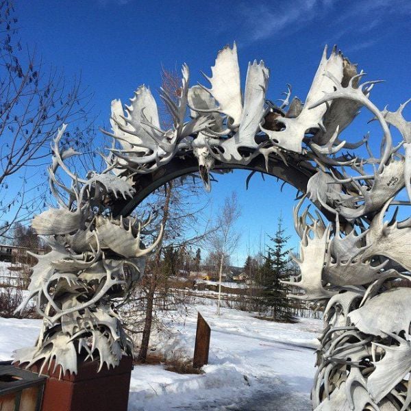 daily picdump 97 pics 48.html - 97 HD Photos | Premium Gallery 2015