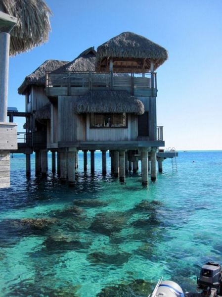 daily picdump 97 pics 48.html - 97 HD Photos | Premium Gallery 2015