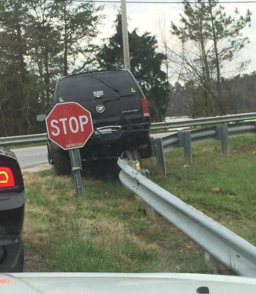 daily picdump 97 pics 48.html - 97 HD Photos | Premium Gallery 2015