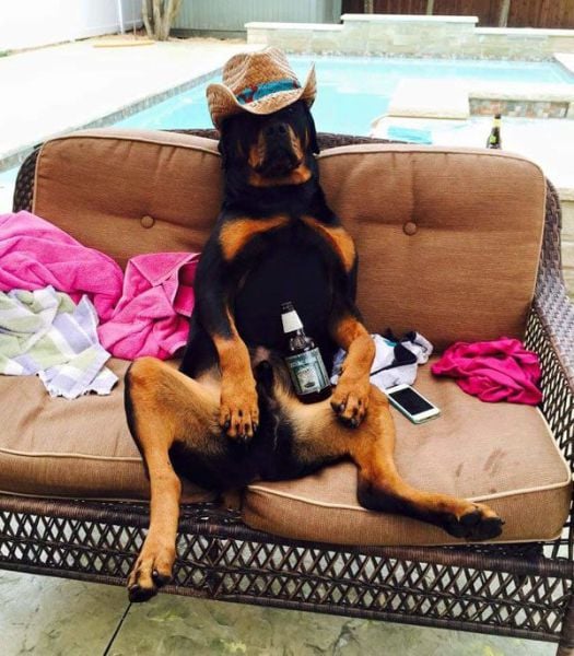 daily picdump 97 pics 48.html - 97 HD Photos | Premium Gallery 2015