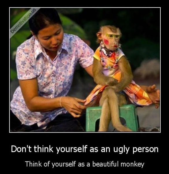 page,16,top 450 funny pics of the year 2015.html - 1 HD Photos | Premium Gallery 2015