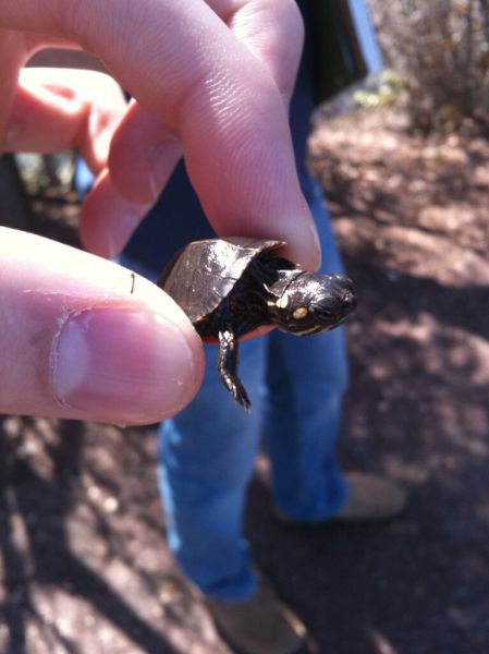 morning picdump 53 pics 7.html - 53 HD Photos | Premium Gallery 2015