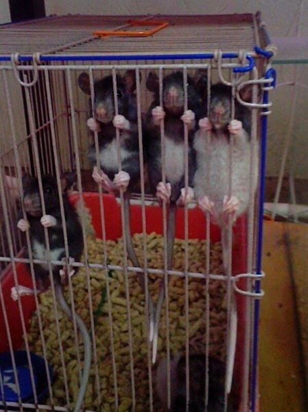 page,4,top 1500 daily pics of the year 2015.html - 1 HD Photos | Premium Gallery 2015