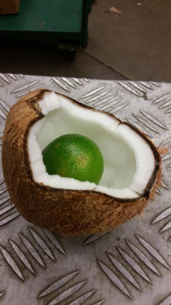 morning picdump 52 pics 1.html - 52 HD Photos | Premium Gallery 2015