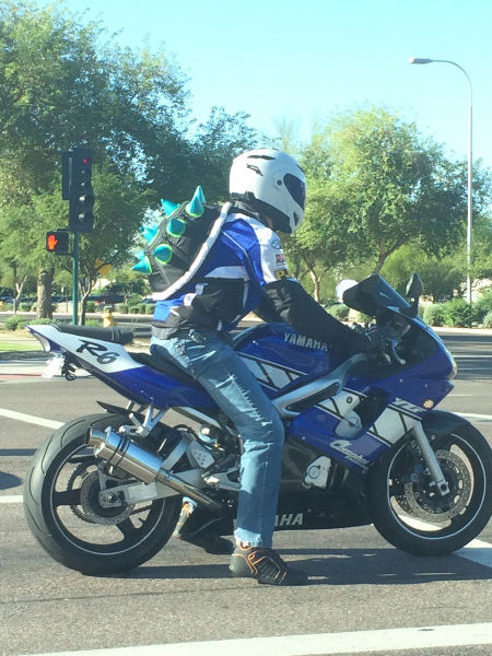 morning picdump 52 pics 1.html - 52 HD Photos | Premium Gallery 2015