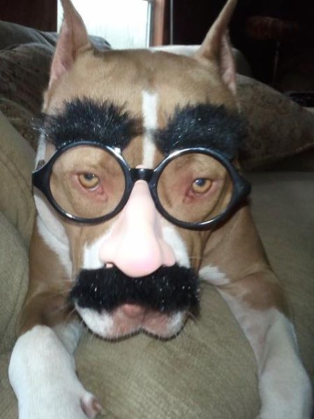 morning picdump 52 pics 1.html - 52 HD Photos | Premium Gallery 2015