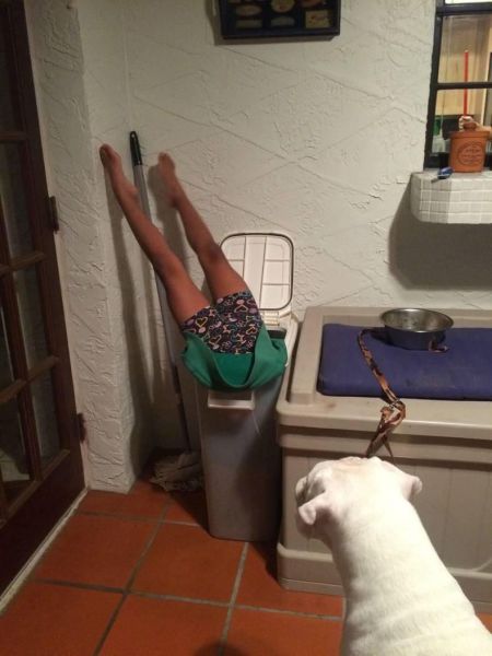 daily picdump 102 pics 72.html - 102 HD Photos | Premium Gallery 2015