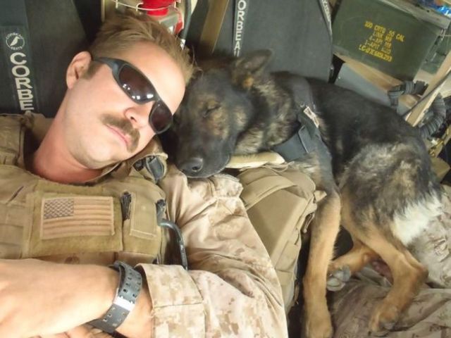 daily picdump 102 pics 72.html - 102 HD Photos | Premium Gallery 2015