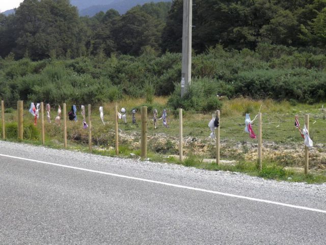 daily picdump 102 pics 72.html - 102 HD Photos | Premium Gallery 2015