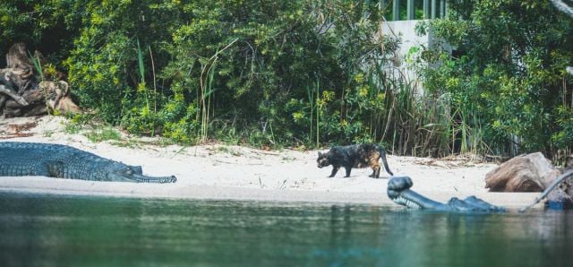 daily picdump 102 pics 72.html - 102 HD Photos | Premium Gallery 2015