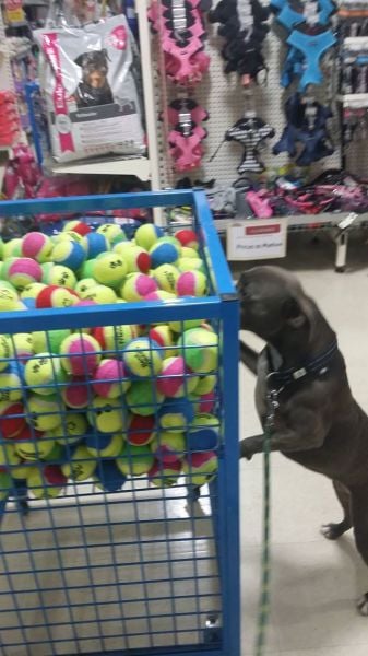 daily picdump 102 pics 72.html - 102 HD Photos | Premium Gallery 2015