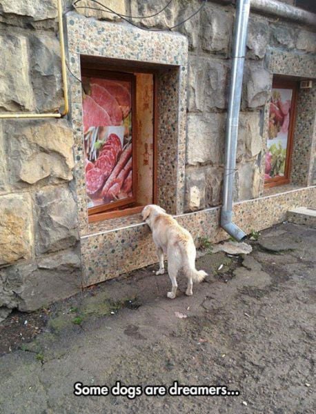 daily picdump 102 pics 72.html - 102 HD Photos | Premium Gallery 2015