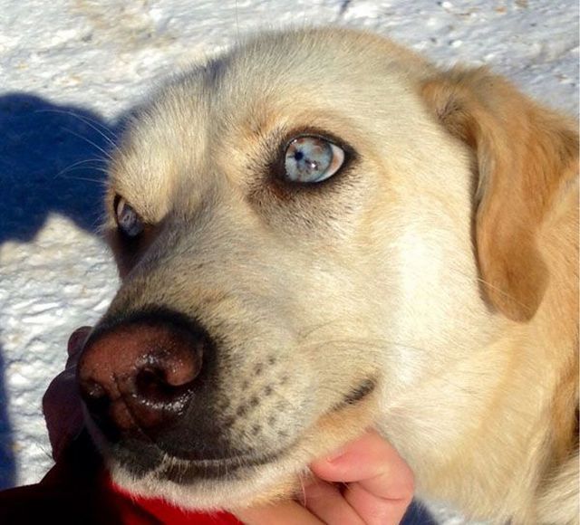 daily picdump 102 pics 72.html - 102 HD Photos | Premium Gallery 2015