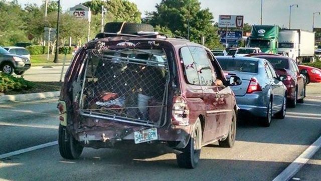 daily picdump 102 pics 72.html - 102 HD Photos | Premium Gallery 2015