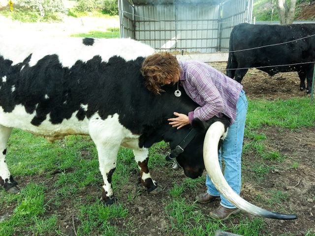 morning picdump 54 pics 2.html - 54 HD Photos | Premium Gallery 2015