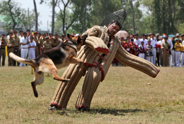 morning picdump 54 pics 2.html - 54 HD Photos | Premium Gallery 2015