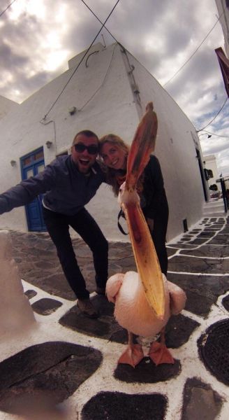 morning picdump 54 pics 2.html - 54 HD Photos | Premium Gallery 2015