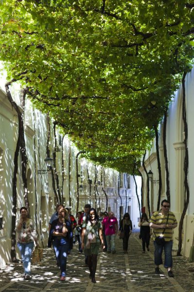 morning picdump 52 pics 15.html - 52 HD Photos | Premium Gallery 2015