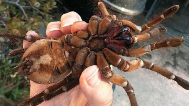 morning picdump 52 pics 15.html - 52 HD Photos | Premium Gallery 2015