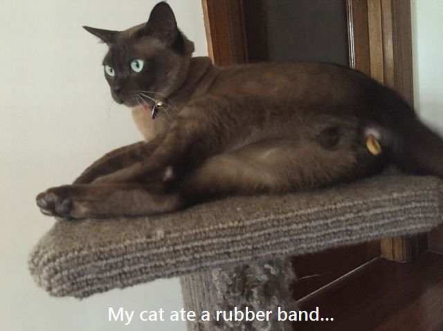 page,19,top 1500 daily pics of the year 2015.html - 1 HD Photos | Premium Gallery 2015