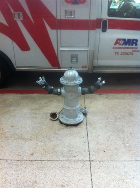 morning picdump 51 pics 2.html - 51 HD Photos | Premium Gallery 2015