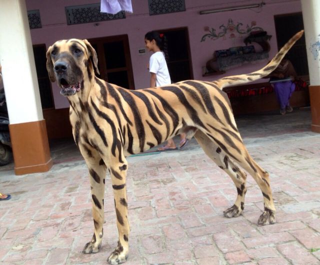 morning picdump 51 pics 2.html - 51 HD Photos | Premium Gallery 2015