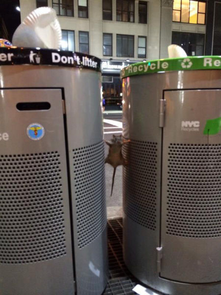 page,17,top 450 funny pics of the year 2015.html - 1 HD Photos | Premium Gallery 2015