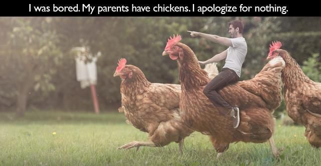 page,17,top 450 funny pics of the year 2015.html - 1 HD Photos | Premium Gallery 2015